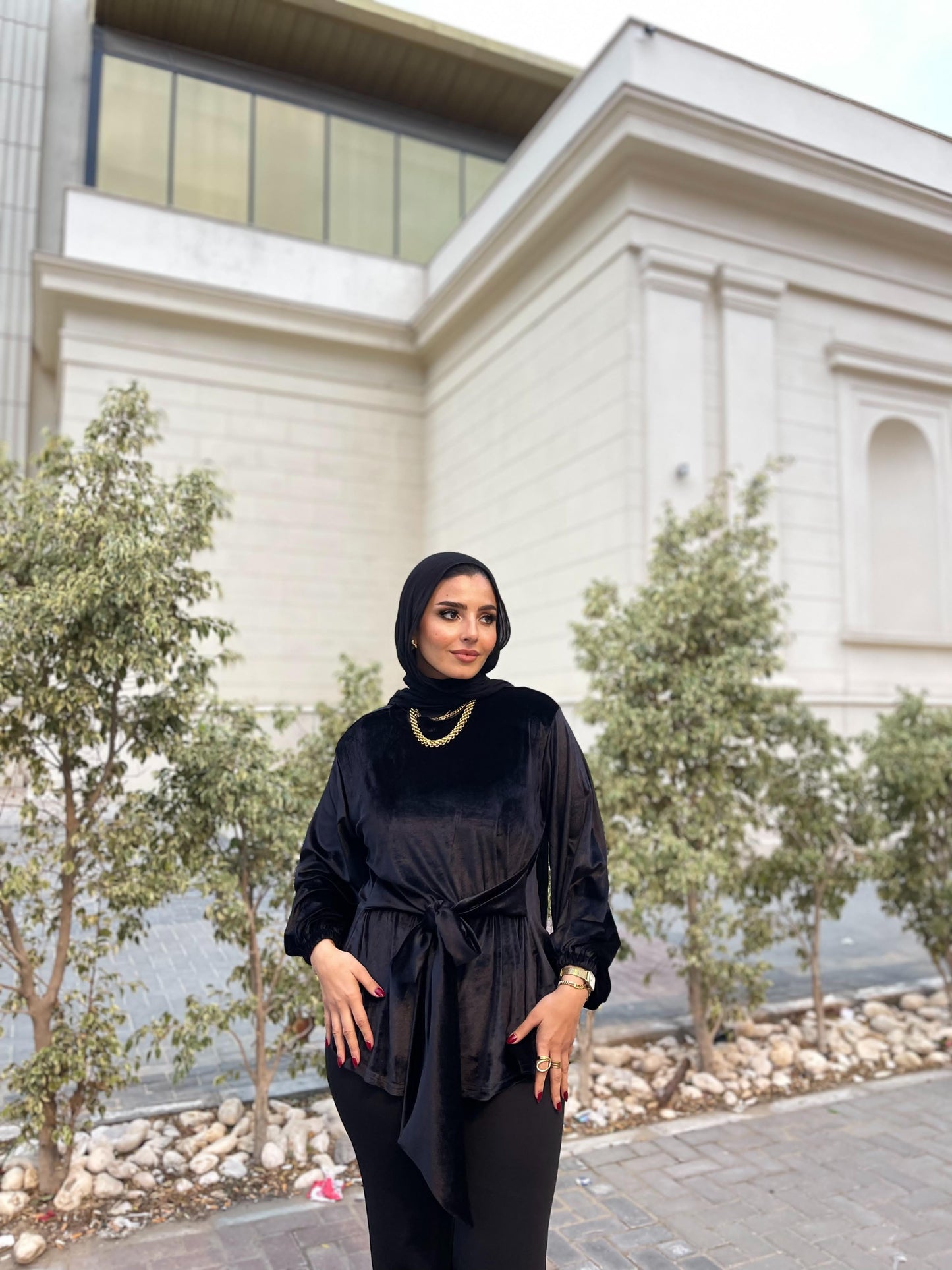Flair velvet blouse